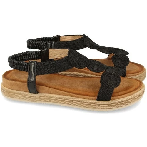 Buonarotti 1AF-1209 Couleur Noir 4 Buonarotti 1AF-1209 Couleur Noir – Image 2