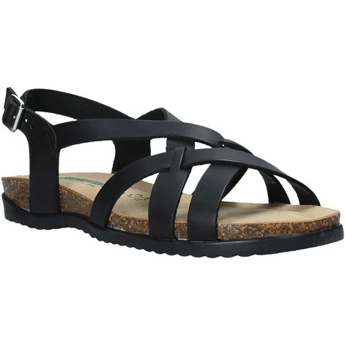 Bionatura 34A2168-I-GOINER Couleur Noir 3 Bionatura 34A2168-I-GOINER Couleur Noir