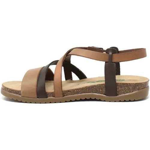 Bionatura 34A2044-I-GOIMBR Couleur Marron 4 Bionatura 34A2044-I-GOIMBR Couleur Marron – Image 2