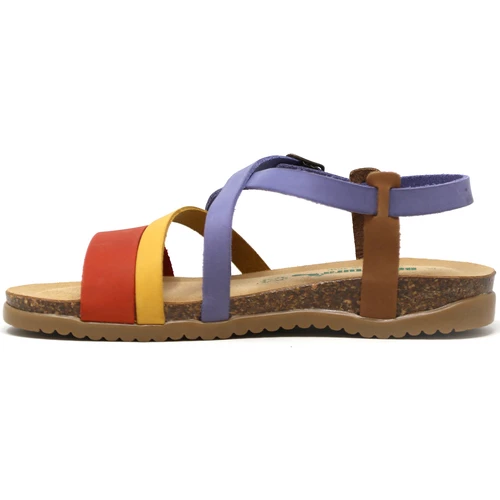 Bionatura 34A2044-I-GM2206 Couleur Violet 4 Bionatura 34A2044-I-GM2206 Couleur Violet – Image 2